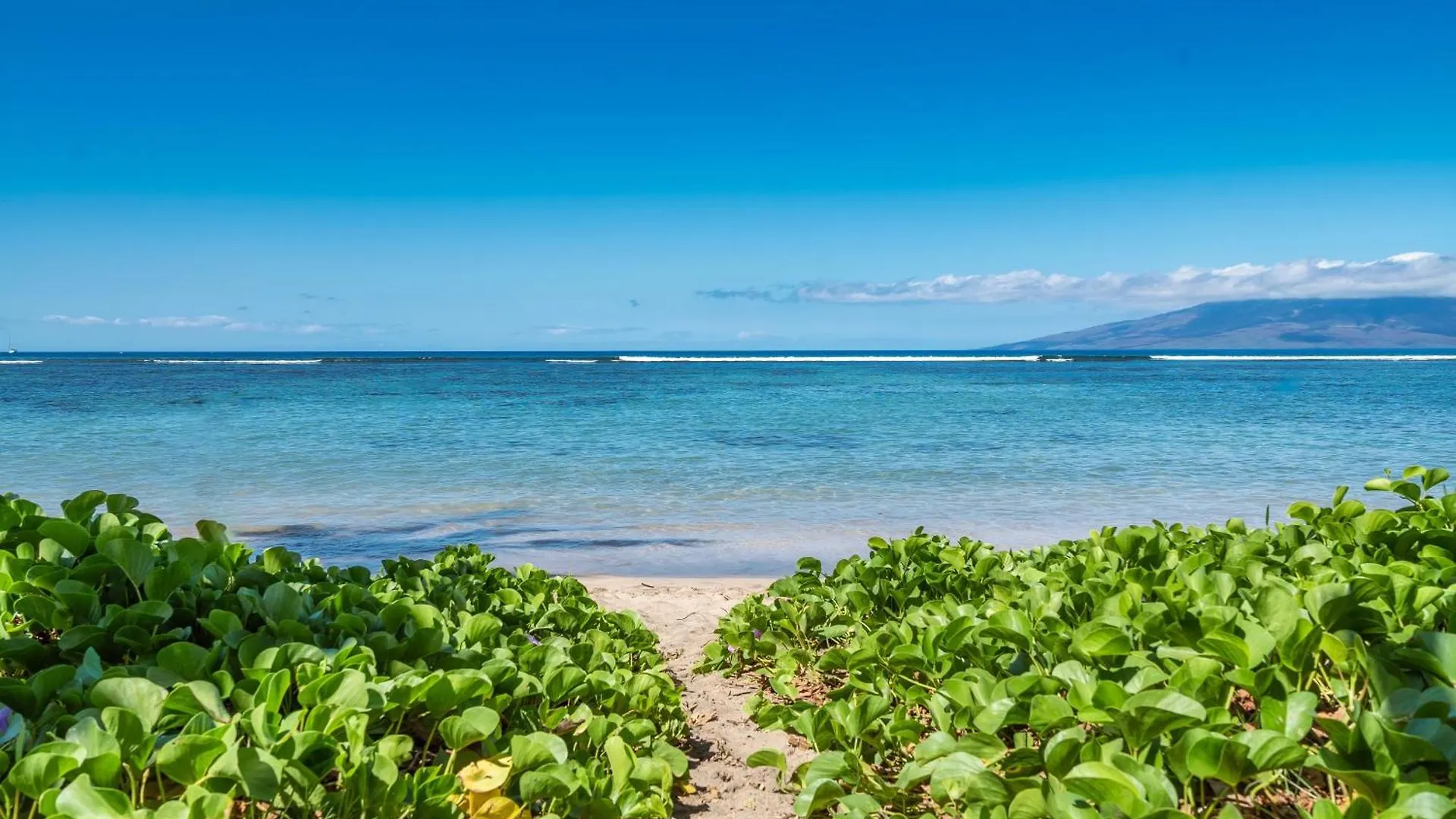 Σπίτι διακοπών Puunoa Beach Estates 103 Lahaina Ηνωμένες Πολιτείες της Αμερικής